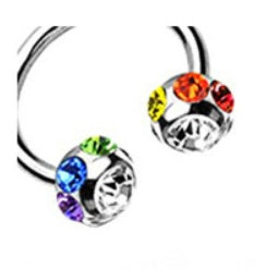 Stainless Steel Perforated Crystal Horseshoe Nose Ring Lip Bar Earrings Multi-purpose Ring